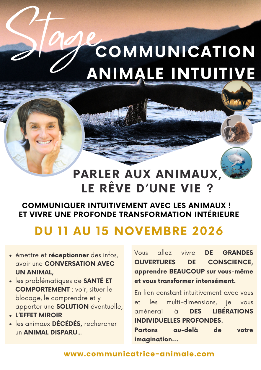 Formation en communication animale intuitive - 2026