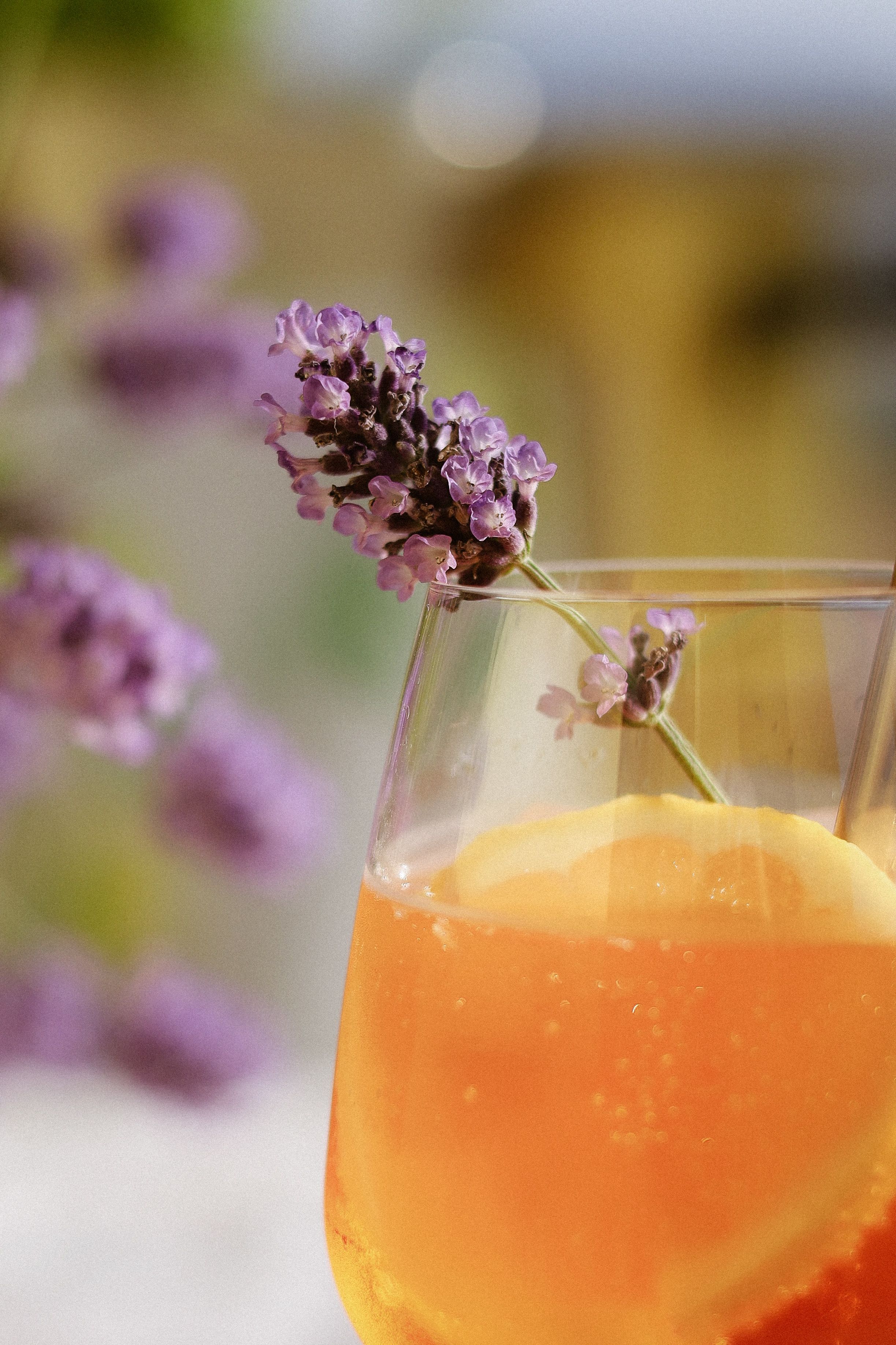Atelier boissons gazeuses