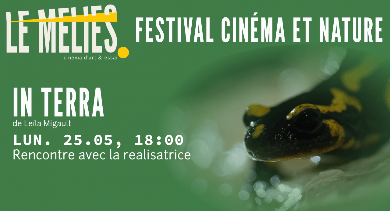 Cinema et Nature 4
